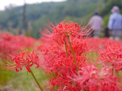 堂々公園