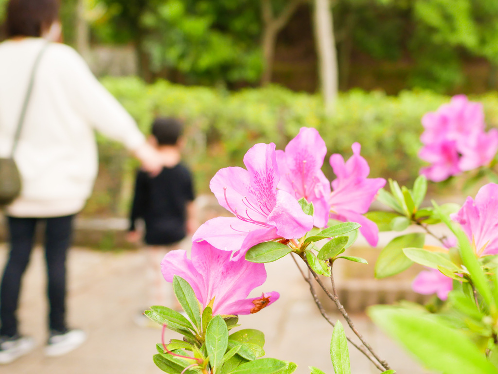 春日池公園