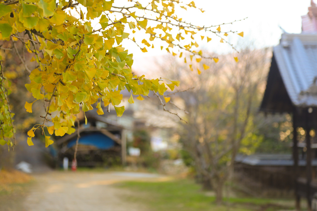 備後國一之宮 吉備津神社