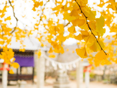 備後一宮吉備津神社