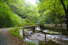 上帝釈