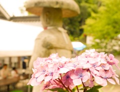 あじさい寺（神宮寺）