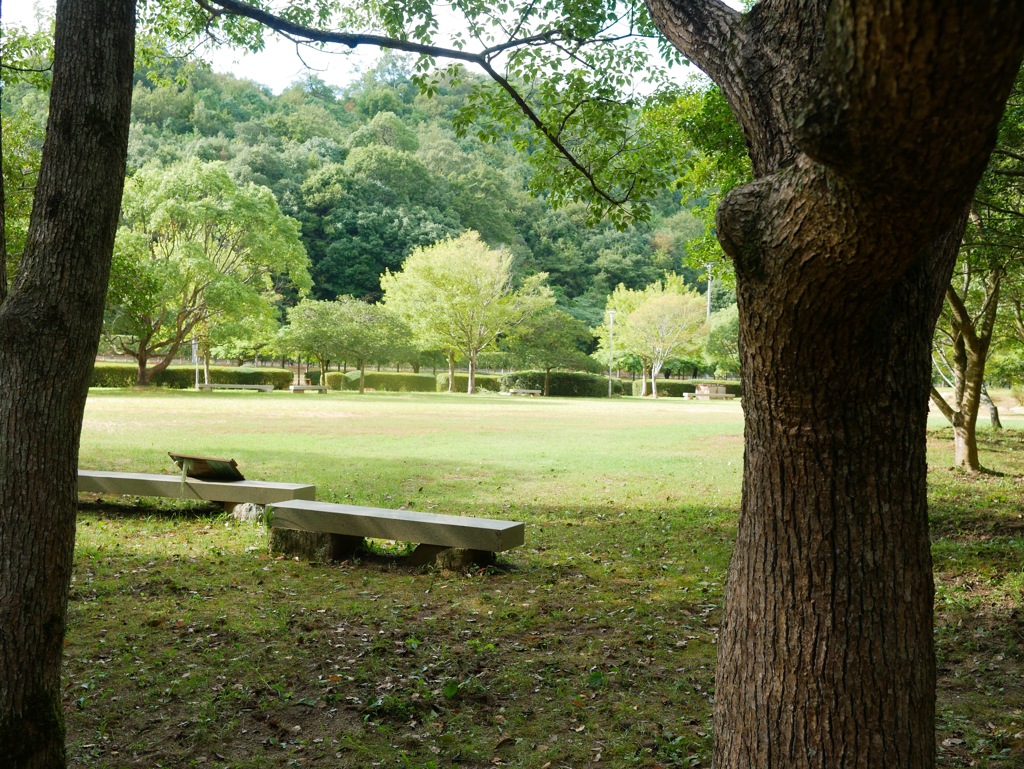 堂々公園