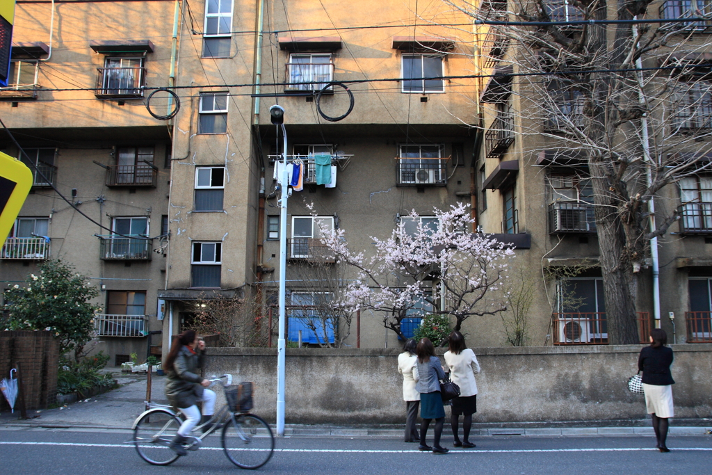 東京異景