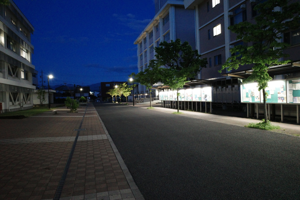大学キャンパス