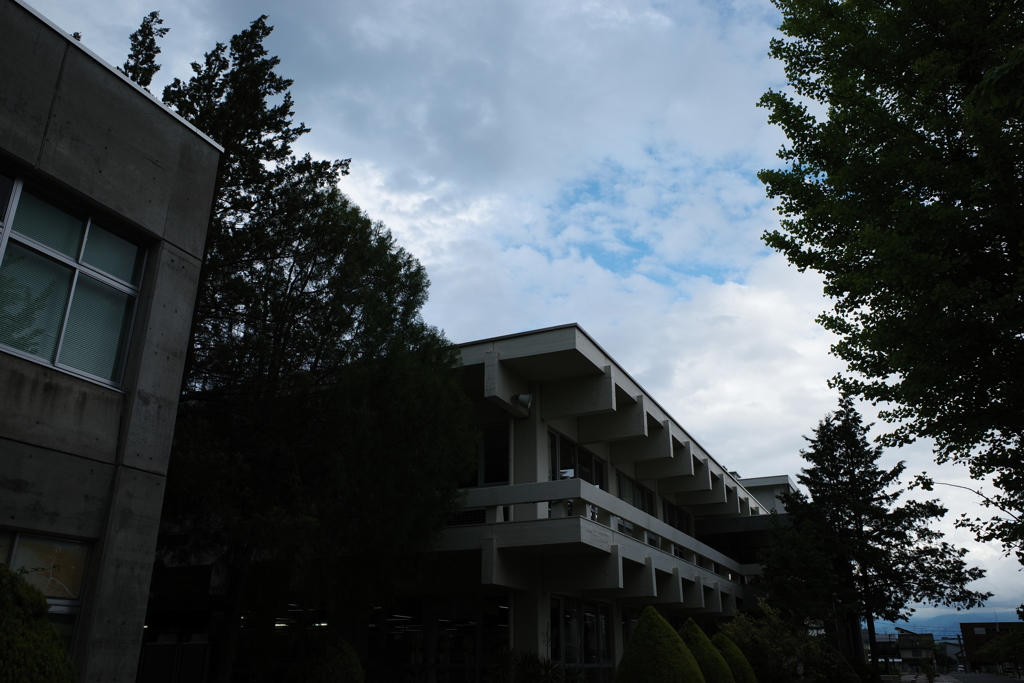 梅雨の晴れ間③