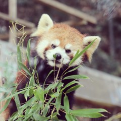 見たな～！
