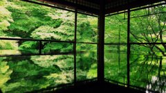 京都の絶景