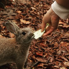 お食べ？