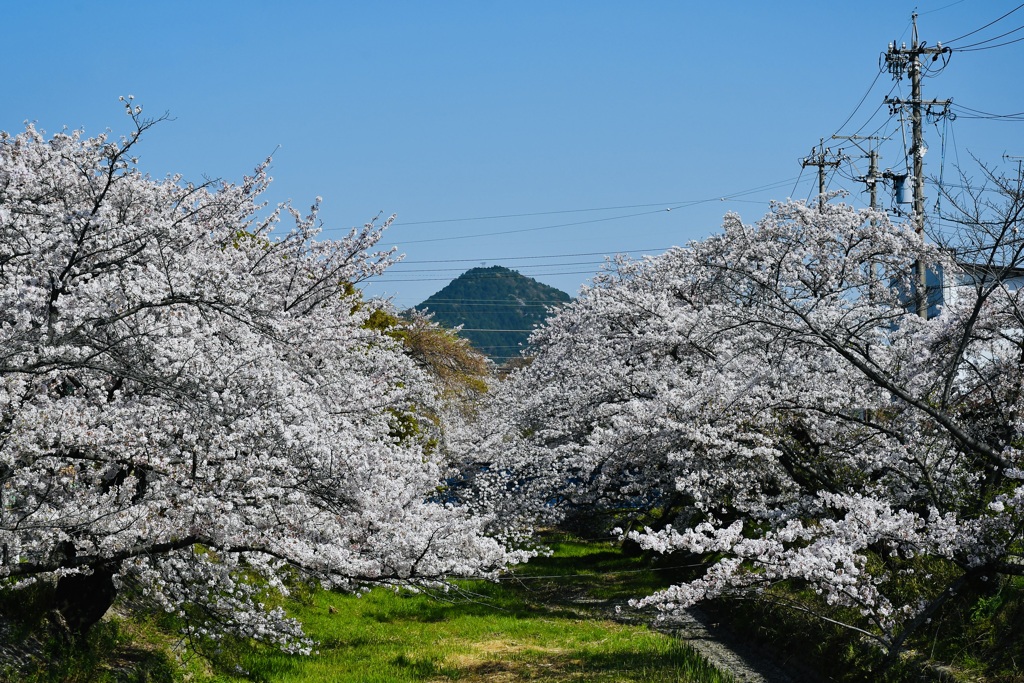 五条川