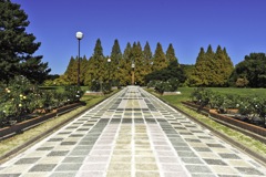 市民の憩いの公園 市民の憩いの公園