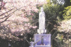 聖崎公園で散歩
