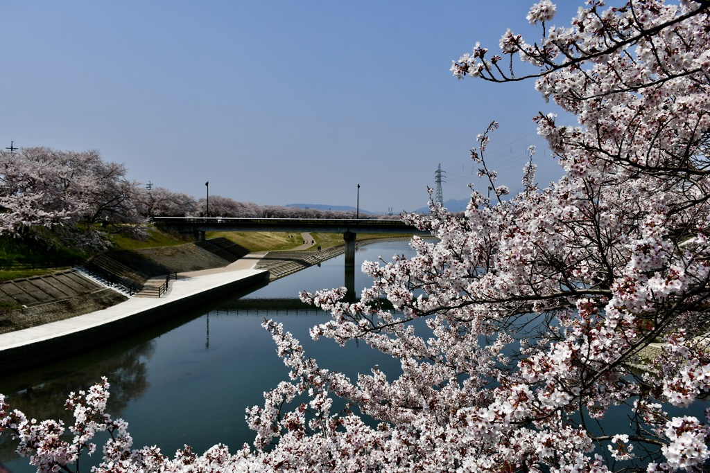 犀川