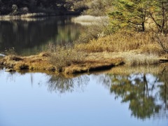 湖畔の静謐