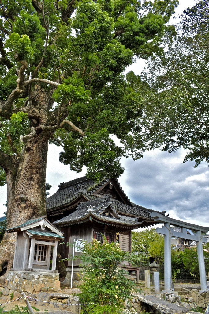 関川神社