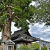 関川神社