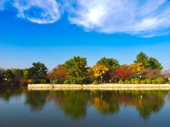 Autumn Sky and Kyuka Park