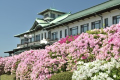 gamagori classic hotel with azaleas