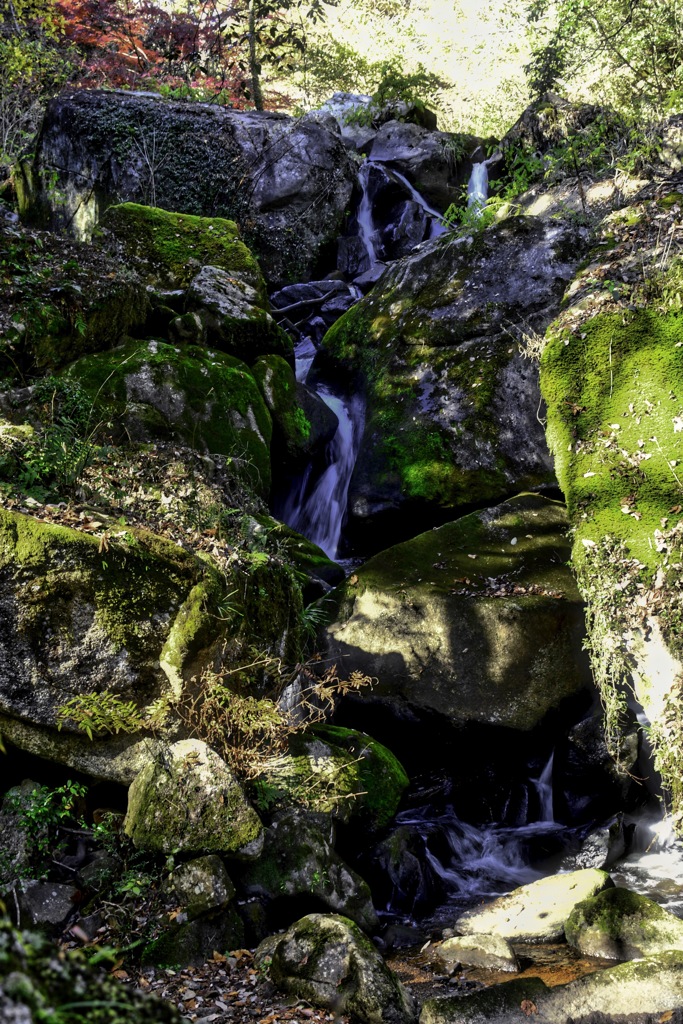 山道 日向と日陰
