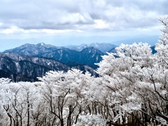 冬空