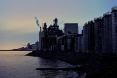 夕方の散歩、海辺にて。