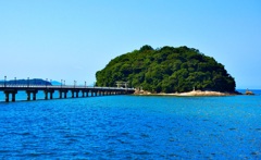 Mysterious Blue and Takeshima