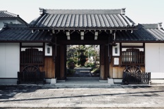 寺の朝の門