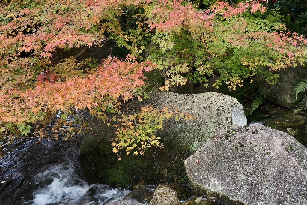 岩