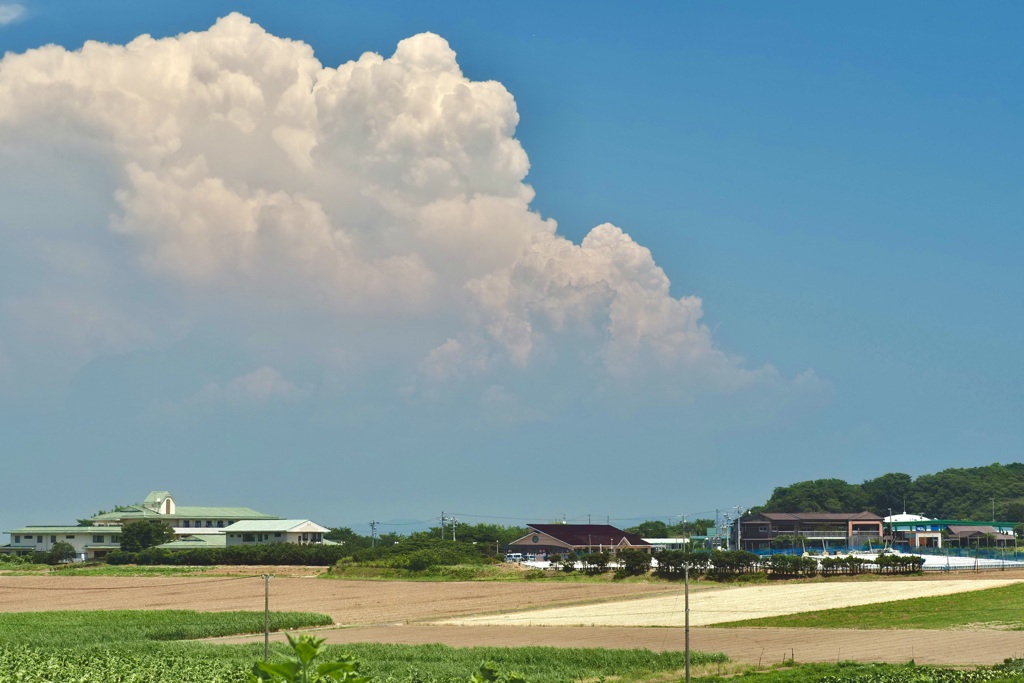 優しい雲と夏の日々