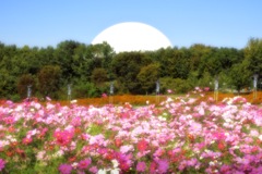 白いドームの在る公園