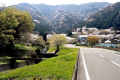 心地よい春の路を歩む