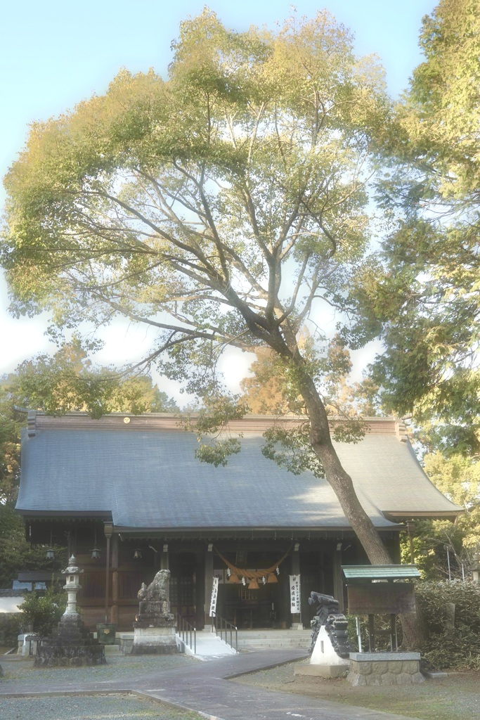 散策で訪れた豊川の八幡宮