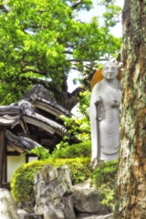 晴れた日の寺院