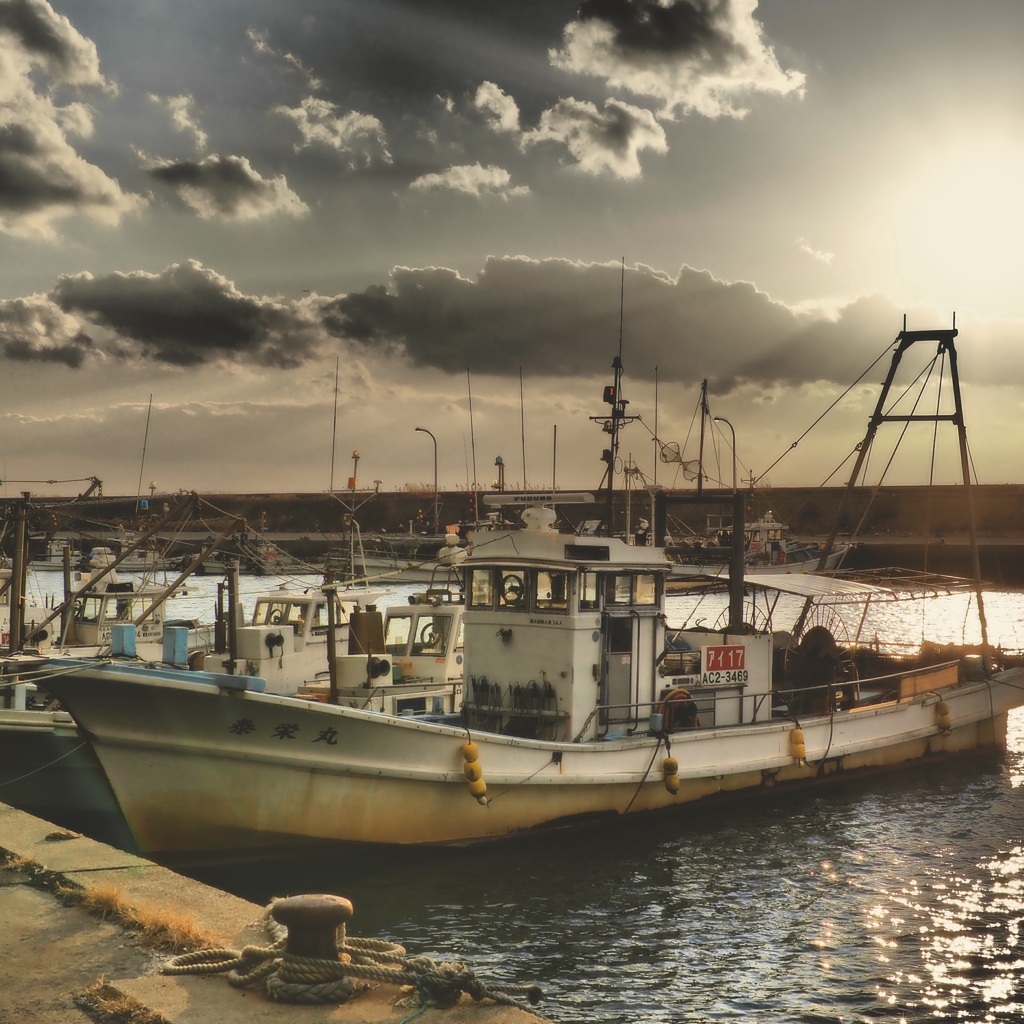 Stroll around  fishing port in evening