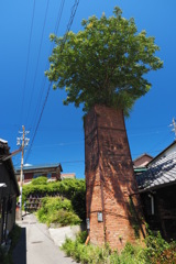 常滑の市街の散歩