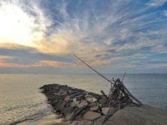悠久の浜辺散策