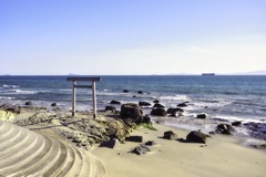 静かな海岸の散策