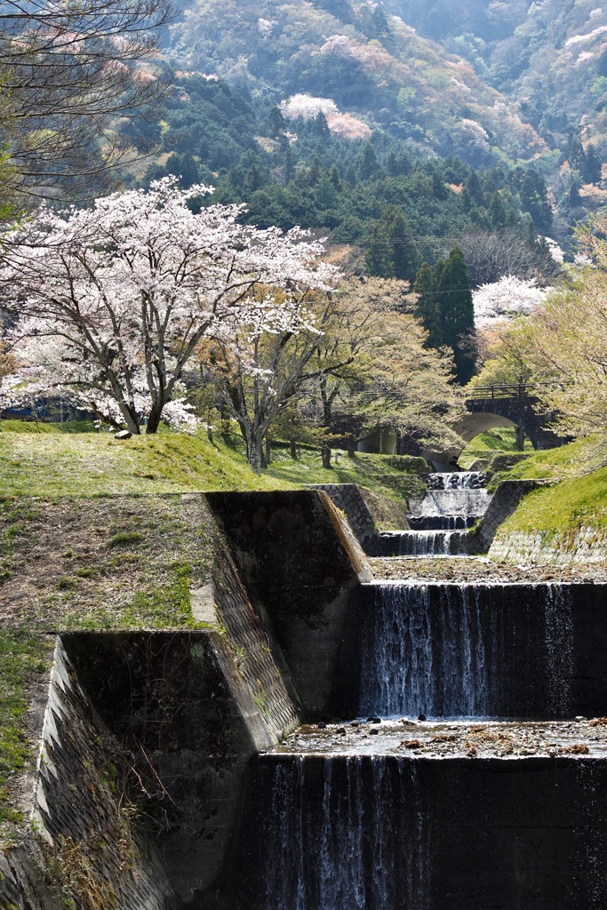 4月散策、行楽日和