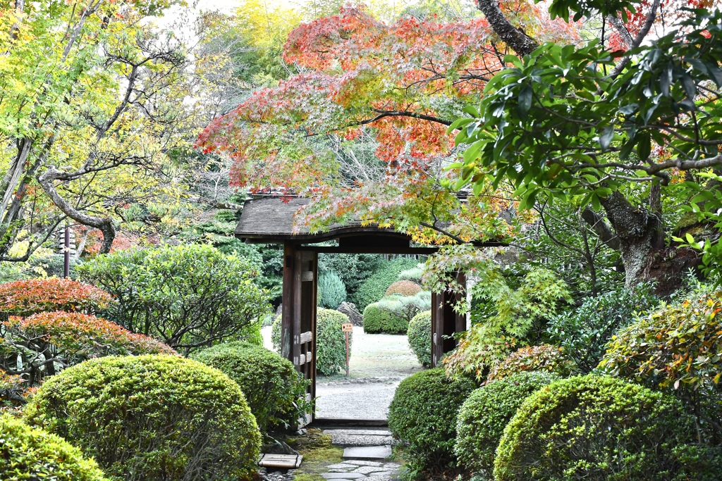 犬山の庭園にて。