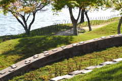 池畔