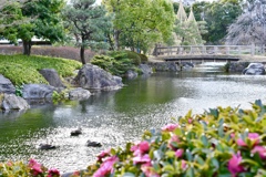 いつかの白鳥庭園