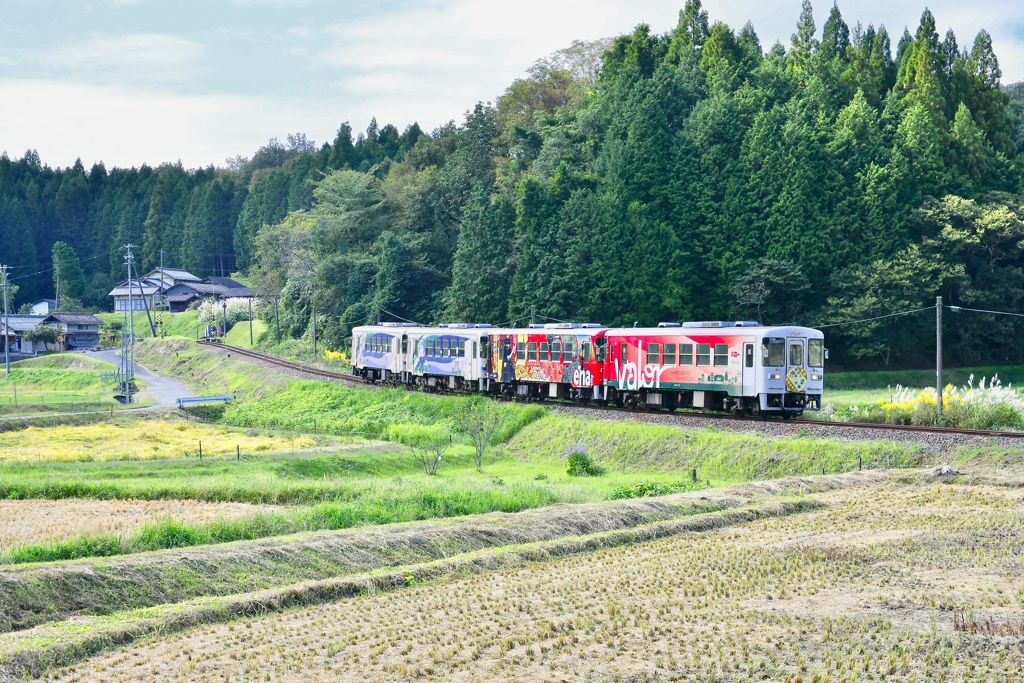 山岡