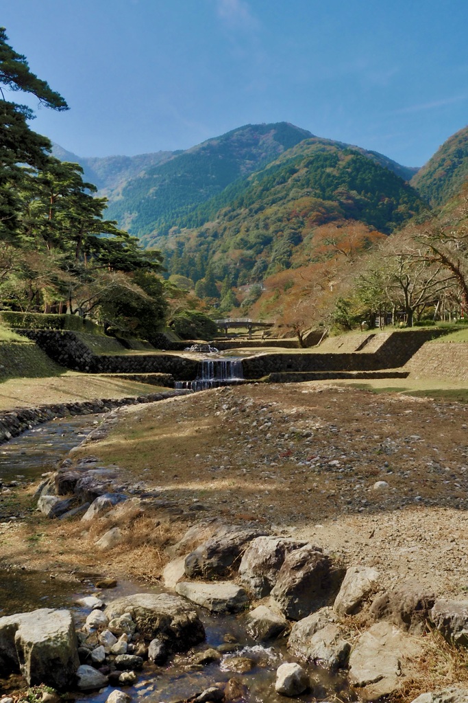 養老