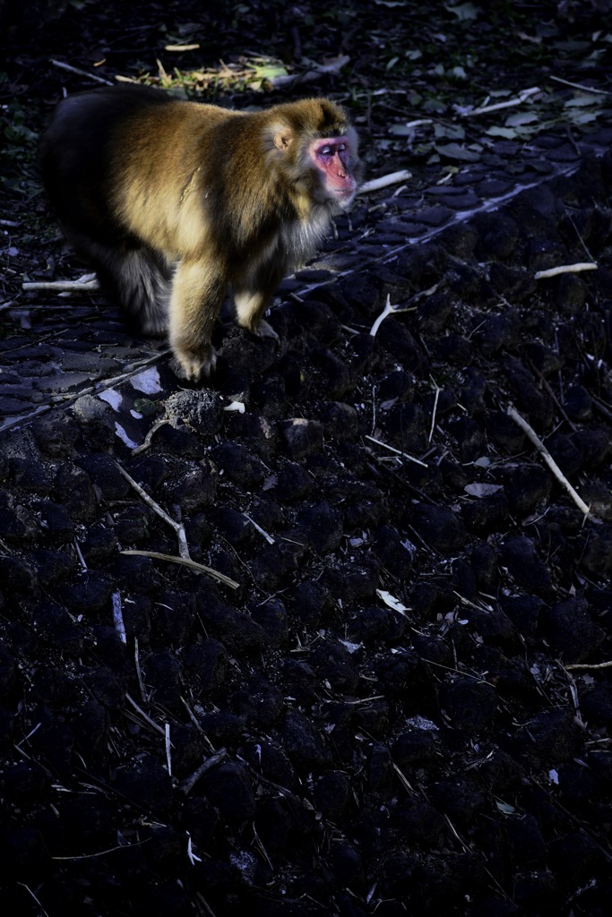 縁から覗き見る