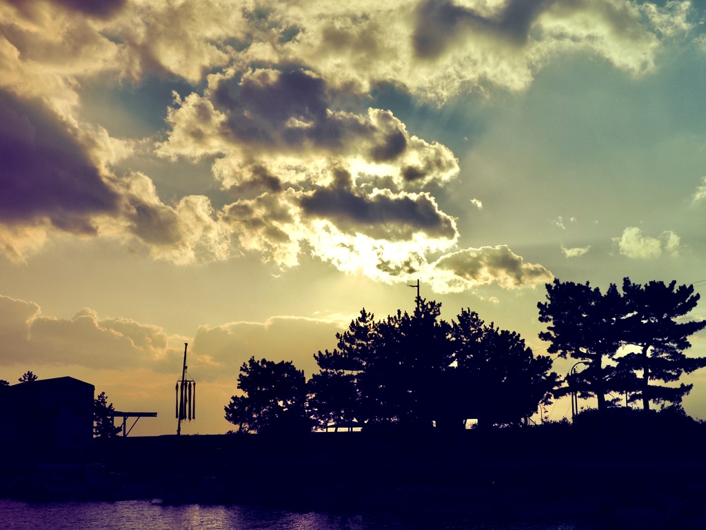 冬の夕刻