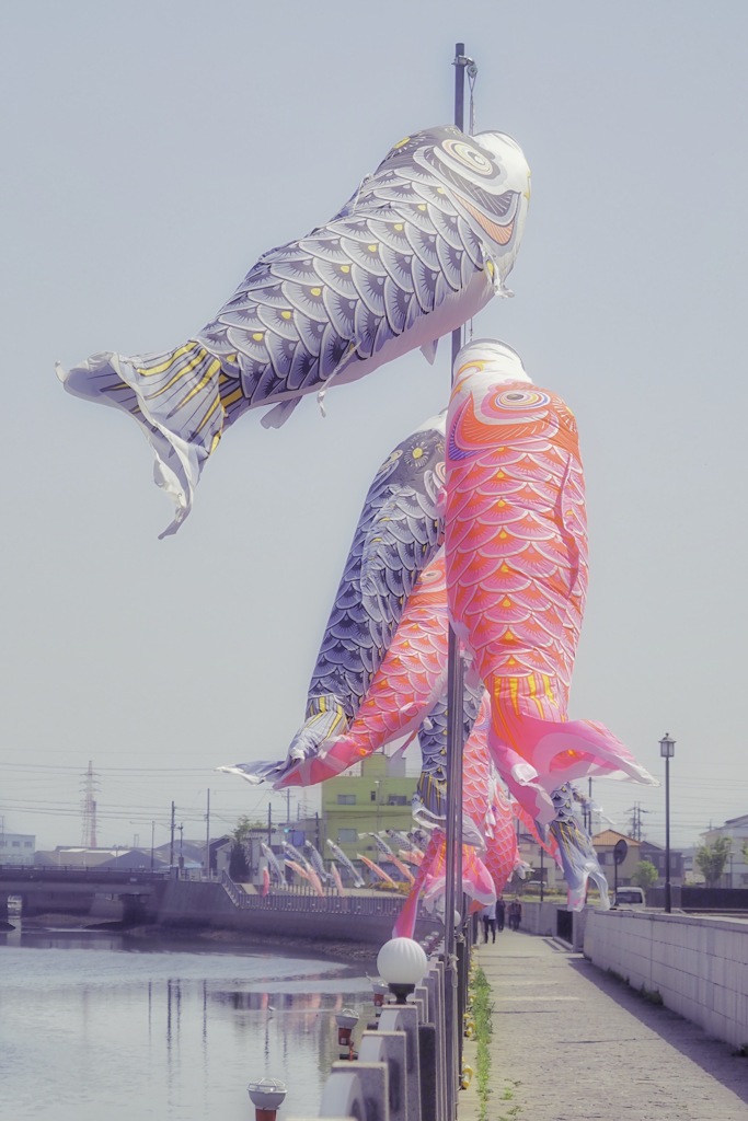 鯉のぼりを見た日