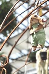 Rabbit