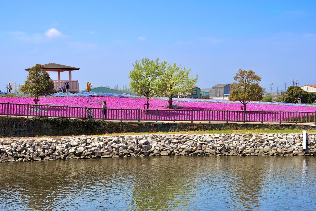 三ツ又池公園での、ひととき。