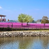 三ツ又池公園での、ひととき。