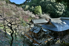 大縣神社